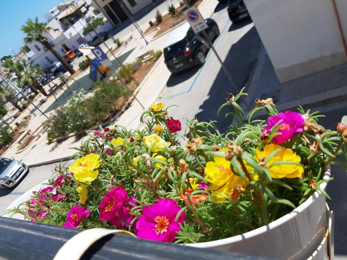 Apartmán Finestra Azzurra San Vito Lo Capo Exteriér fotografie