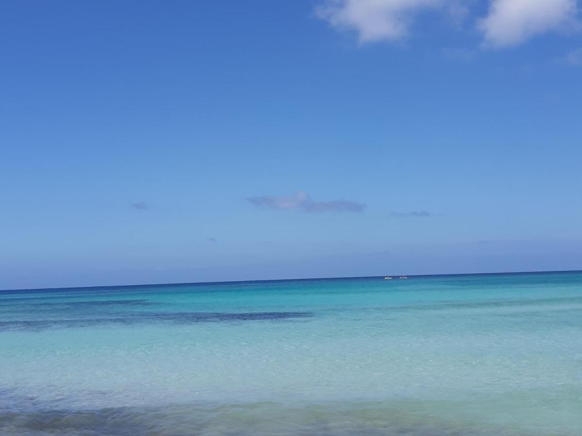 Apartmán Finestra Azzurra San Vito Lo Capo Exteriér fotografie